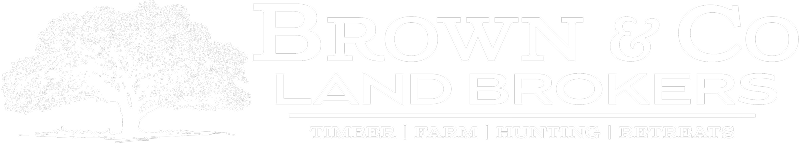 Brown & Co. Logo