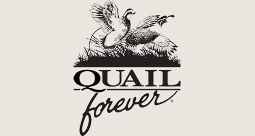 Quail Forever